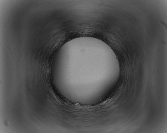 X0000097650040200802290857