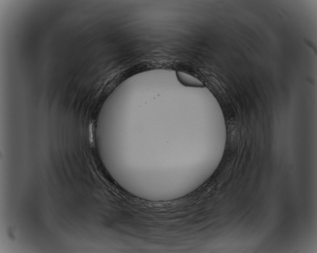 X0000097650042200802290857