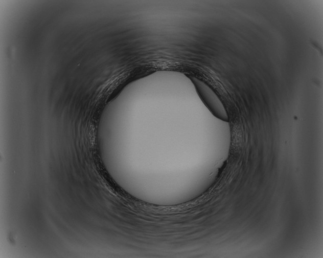X0000097650043200802290857