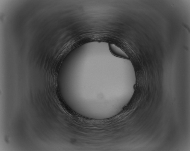 X0000097650044200802290857