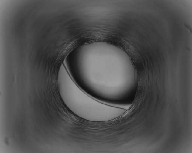 X0000097650045200802290857