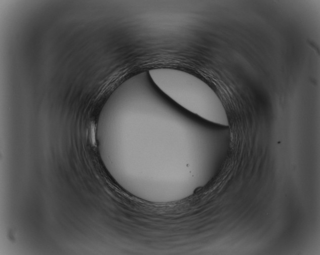 X0000097650046200802290857