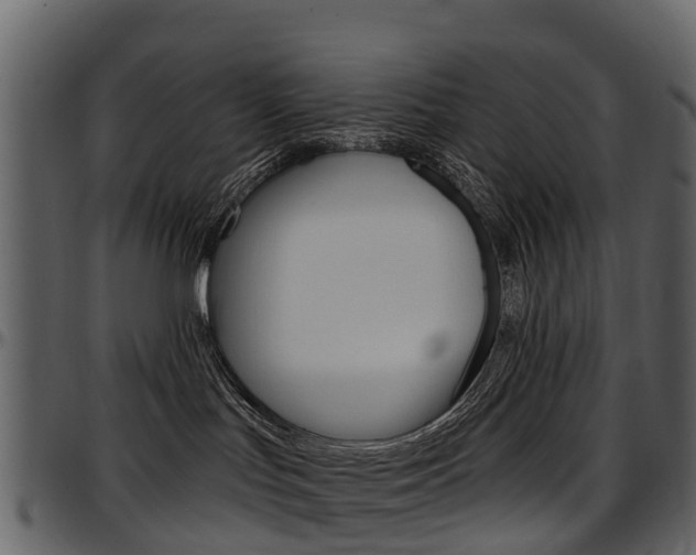 X0000097650047200802290857