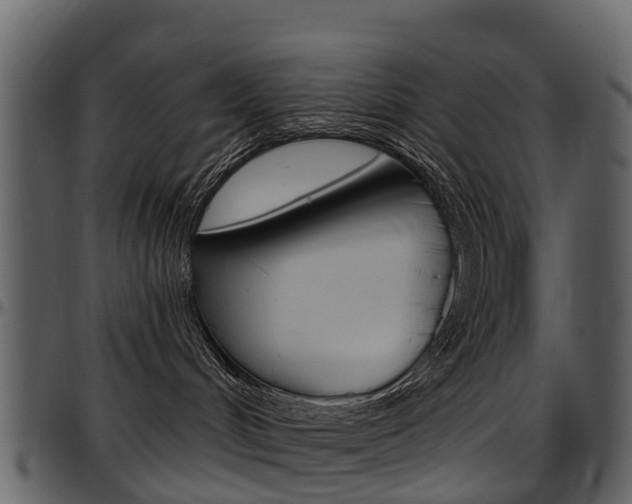 X0000097650048200802290857