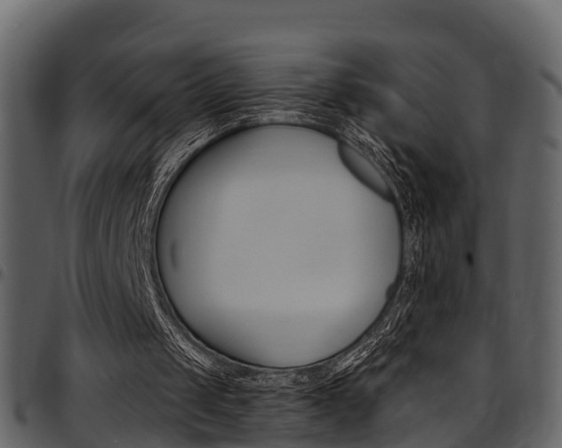 X0000097650049200802290856