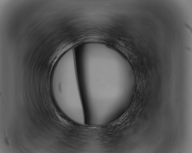 X0000097650050200802290857