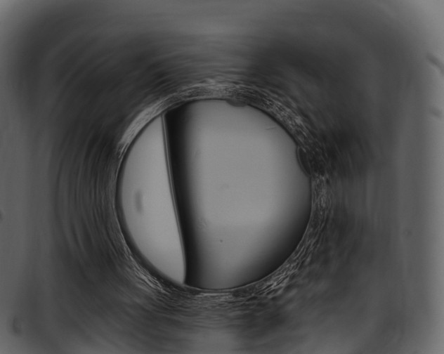 X0000097650051200802290857