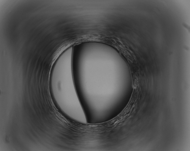X0000097650052200802290857