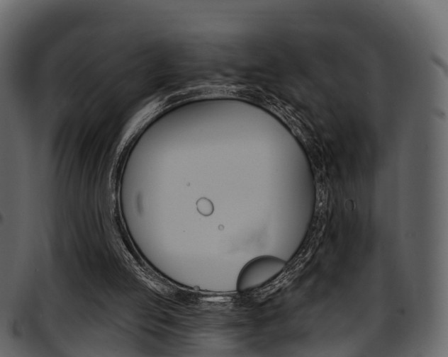 X0000097650053200802290857