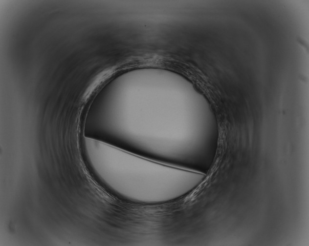 X0000097650054200802290857