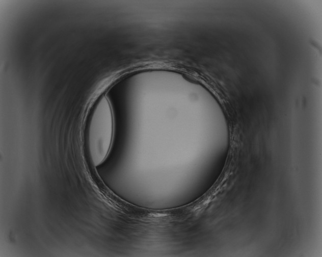 X0000097650055200802290857