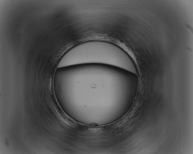 X0000097650057200802290857