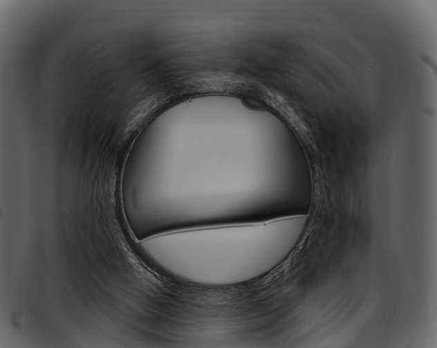 X0000097650058200802290857