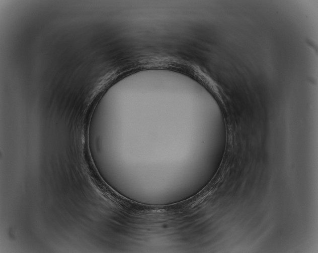 X0000097650059200802290857