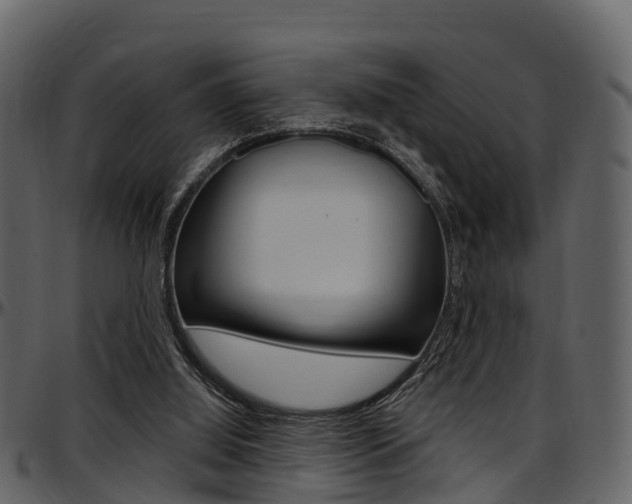 X0000097650060200802290857