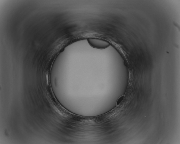 X0000097650061200802290857