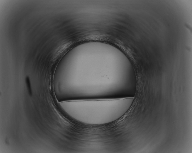 X0000097650062200802290857