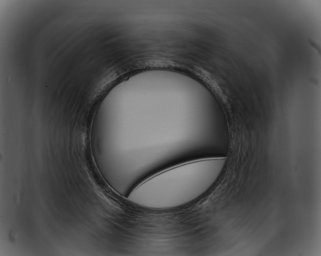 X0000097650063200802290857