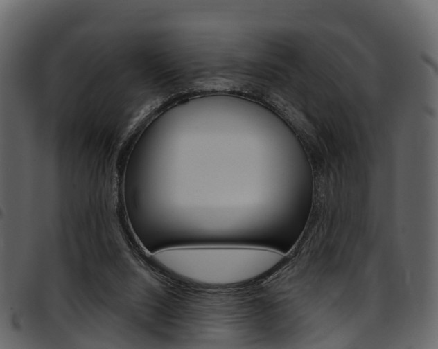X0000097650064200802290857