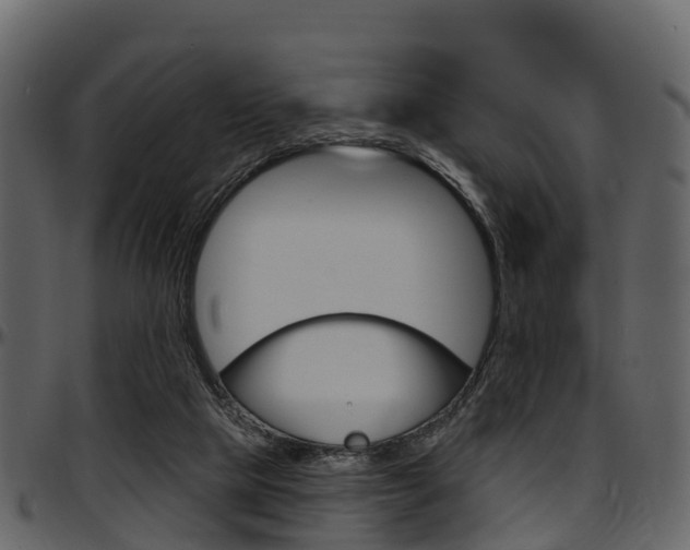X0000097650065200802290857