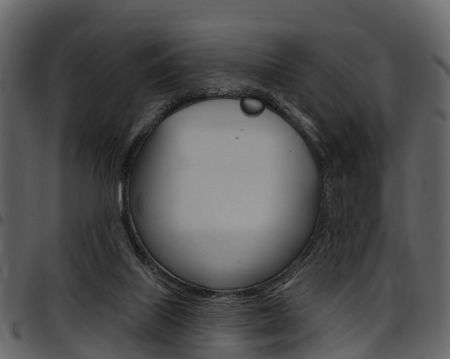 X0000097650067200802290857