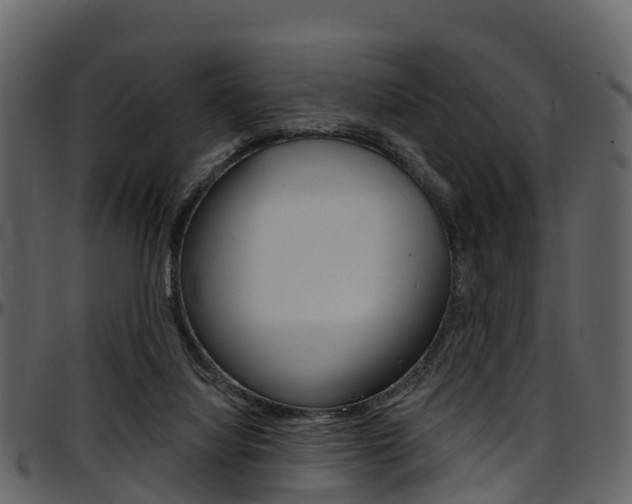 X0000097650068200802290857