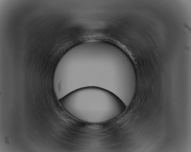 X0000097650069200802290857