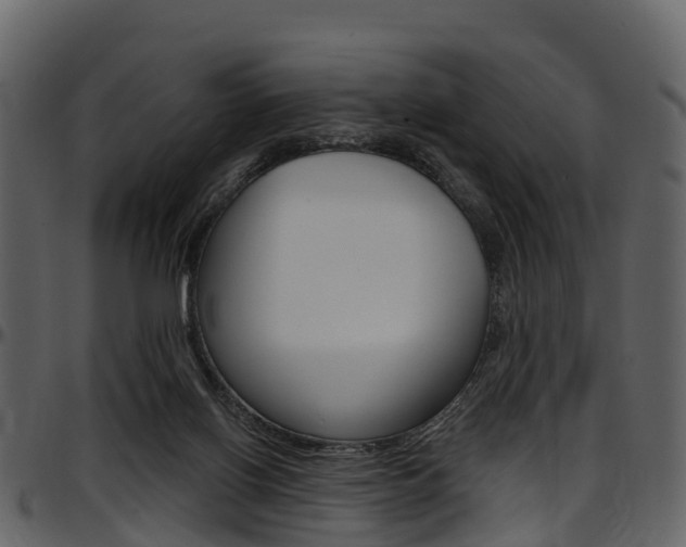 X0000097650070200802290857