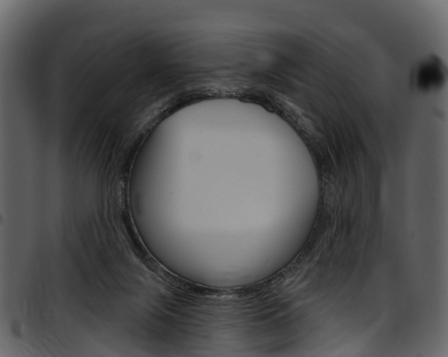 X0000097650071200802290857