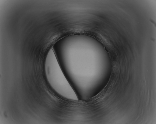 X0000097650072200802290857