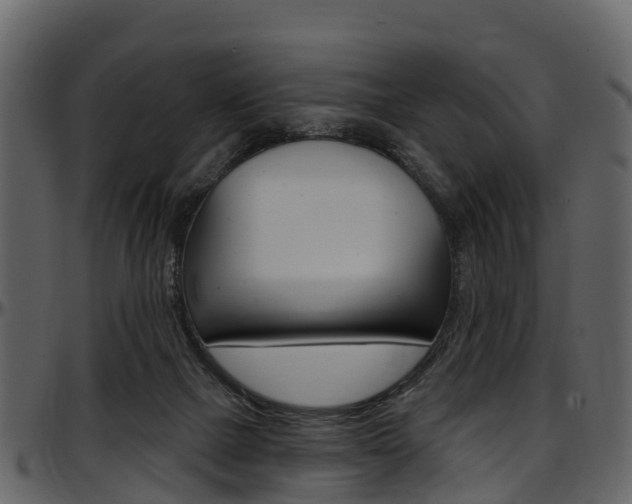 X0000097650073200802290857