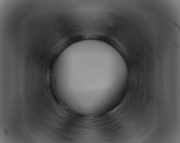 X0000097650074200802290857