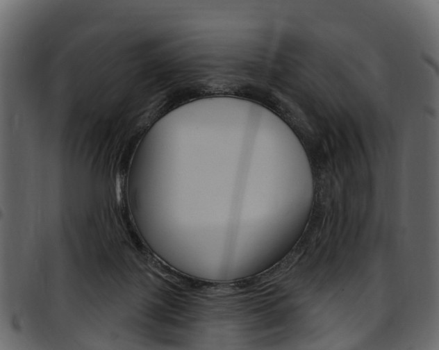 X0000097650075200802290857