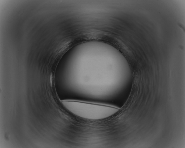 X0000097650076200802290857