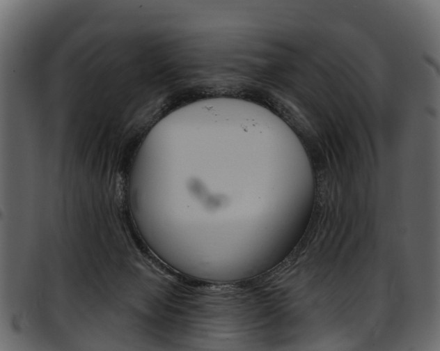 X0000097650077200802290857