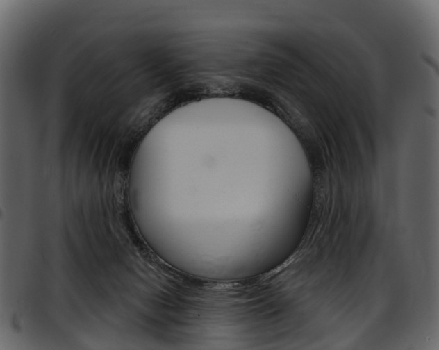 X0000097650078200802290857