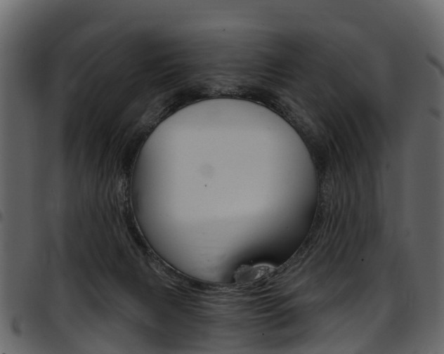 X0000097650079200802290857