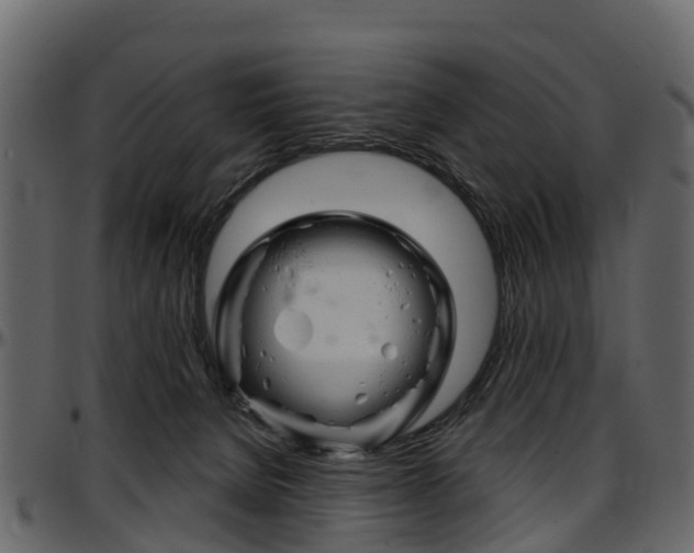 X0000097650080200802290857