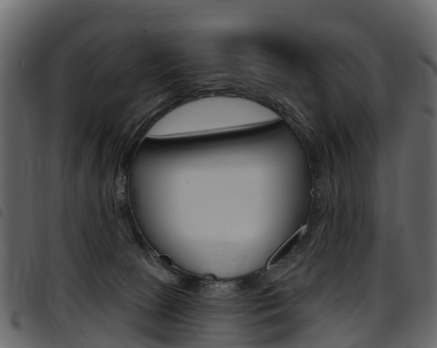 X0000097650081200802290857