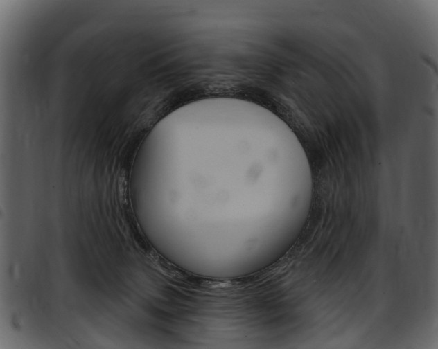 X0000097650083200802290857