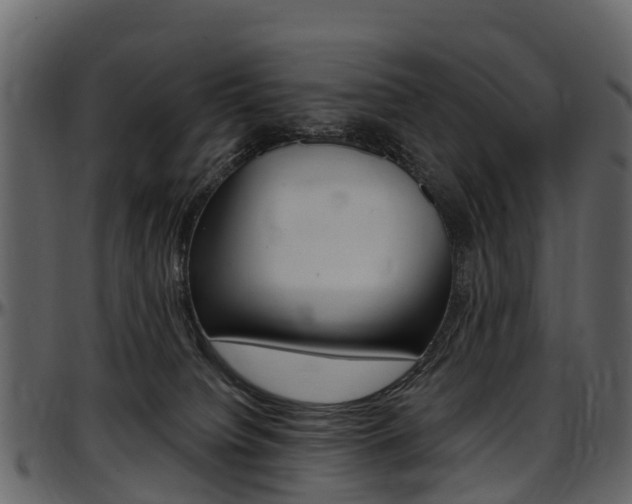 X0000097650084200802290857