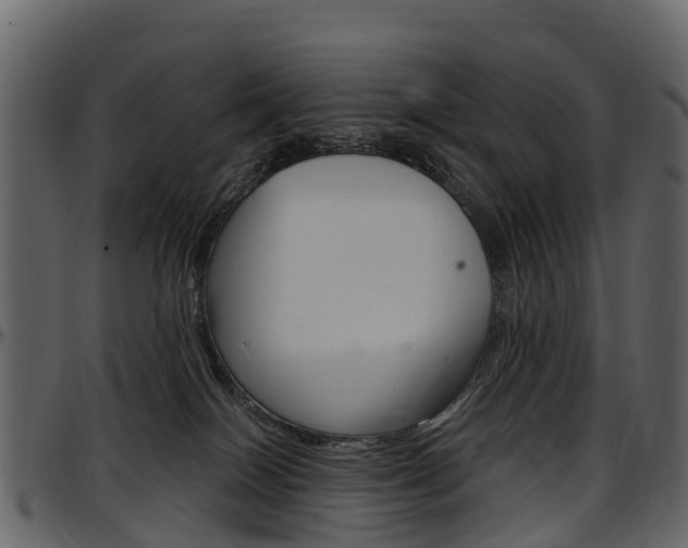 X0000097650086200802290857