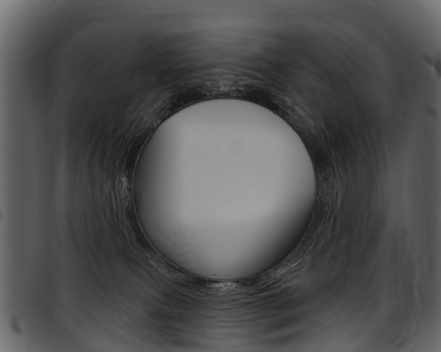 X0000097650087200802290857