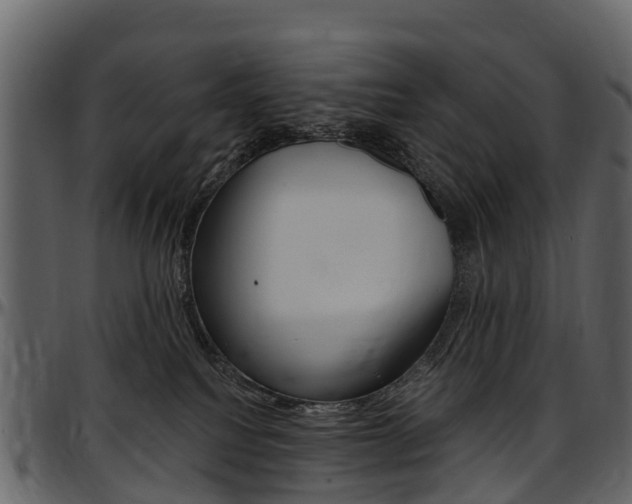 X0000097650088200802290857