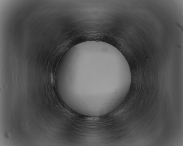 X0000097650089200802290857