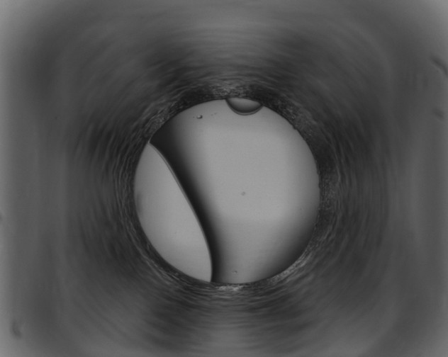 X0000097650090200802290857