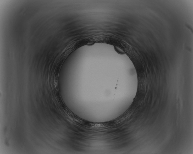 X0000097650091200802290857