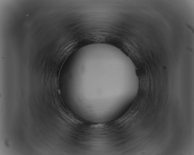 X0000097650092200802290857
