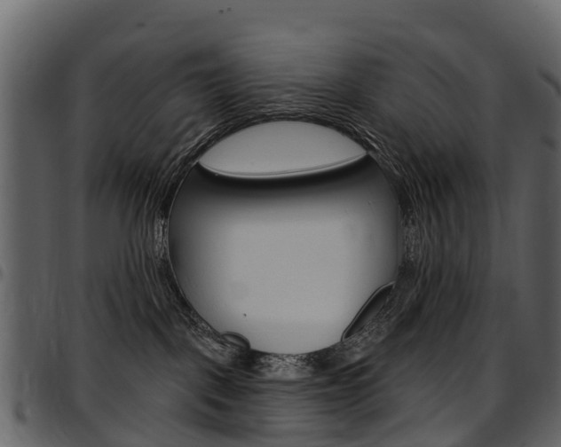 X0000097650093200802290857