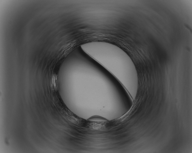 X0000097650094200802290857